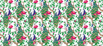 Peacock wrapping paper